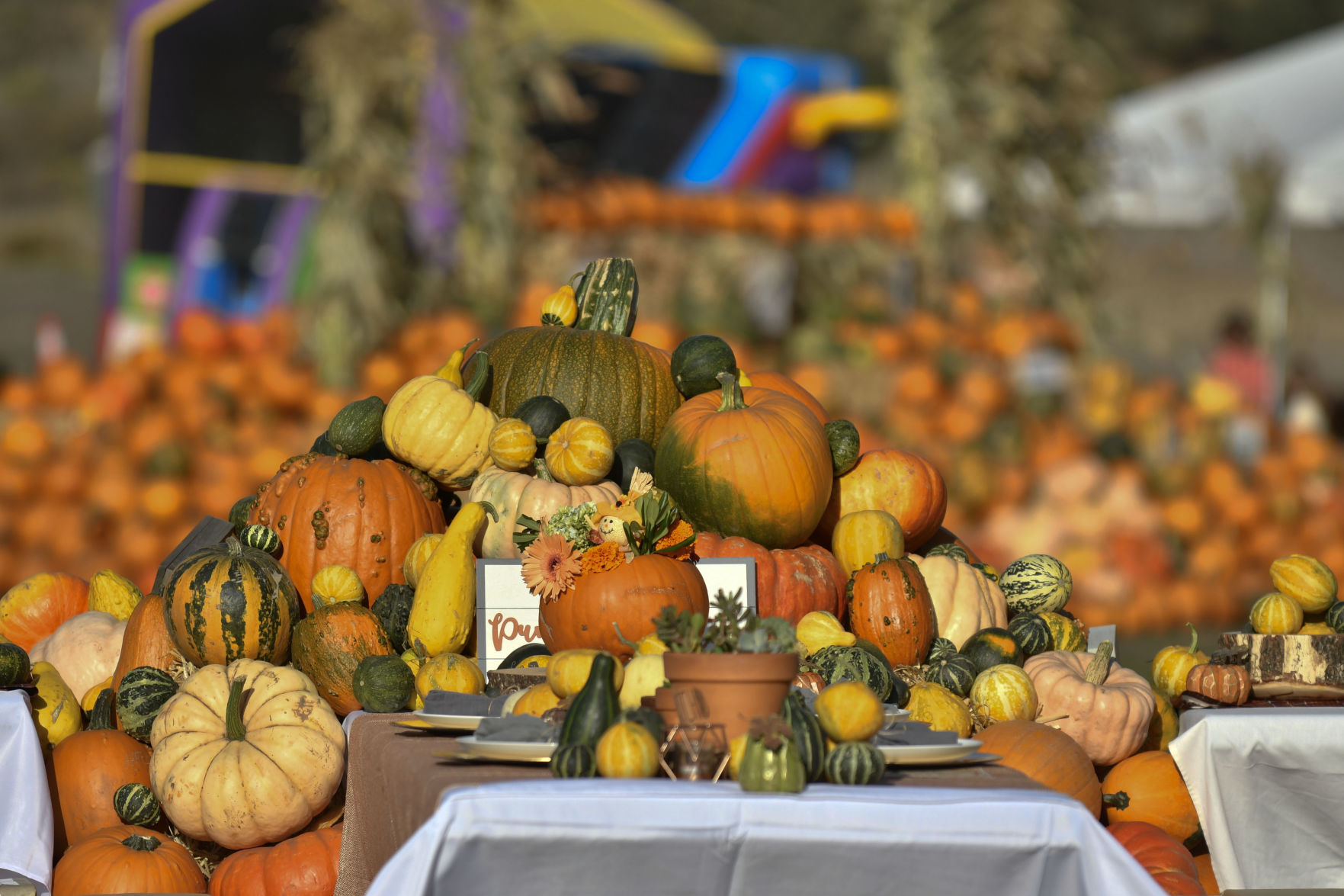 092618 The Patch 10.jpg